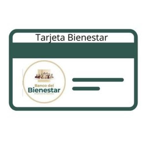 (c) Tarjetabienestar.com.mx
