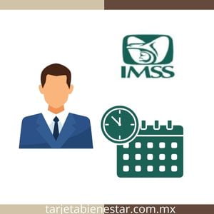 Qué sigue después de la resolución de pensión del IMSS